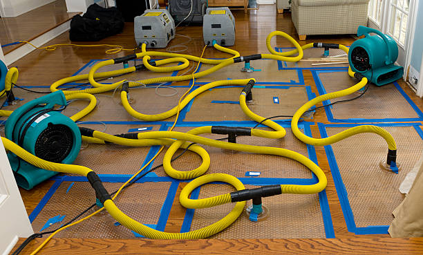 Professional Crawl Space Water Removal technician working in West Hyannisport, MA